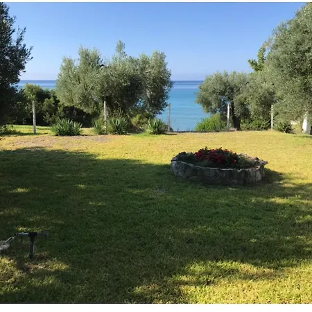 Tiny In Chalkidiki!!! Appartement *